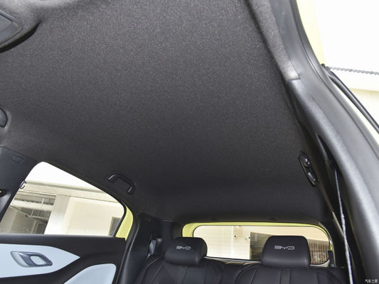 Veículo elétrico EV Byd Seagull 2023 Vitality Versão com solicitação personalizada
