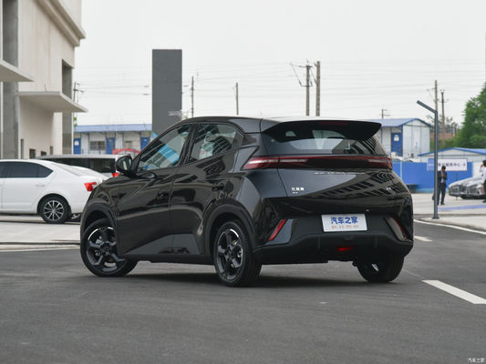 Carro Elétrico Byd Seagull 2023 Fly para serviço pós-venda online/local