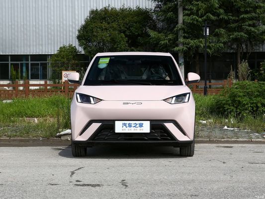 Carro Elétrico Byd Seagull 2023 Fly para serviço pós-venda online/local