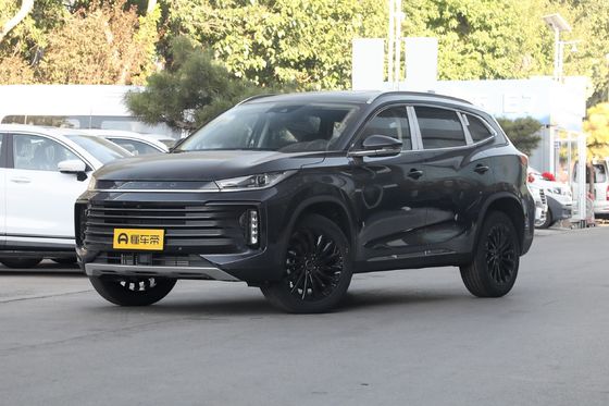 300t 2WD Exeed 2023 Tipo de carroceria fechada em 3 lugares para Sal