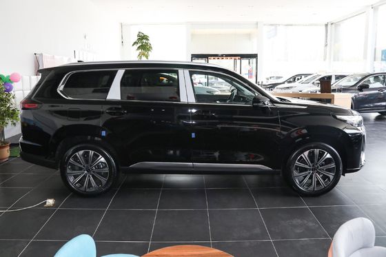 Serviço de pós-venda online/local Exeed Range Rover 2023 400t 4WD Starburst 7-seater
