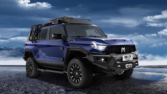 SUV Body Style Mhero 917 Carro Elétrico com SUV Elétrico 2024 Auto Large Mini Smart Usado Carro Elétrico EV