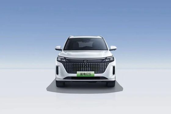 Landian E5 2024 Honor Edition 100km Automático Luxo 5 lugares com serviço online
