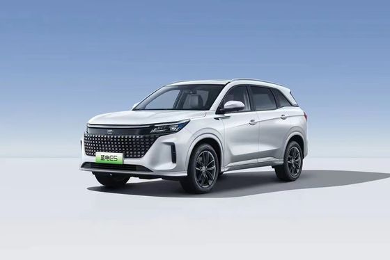Landian E5 2024 Honor Edition 100km Automático Luxo 5 lugares com serviço online