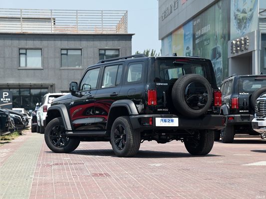 2024 Modelo Gwm Tank 300 2.0t Conqueror Off-Road Carro de combustível personalizado para terrenos acidentados