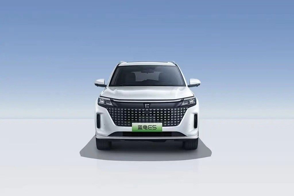 Landian E5 2024 Honor Edition 100km Automático Luxo 5 lugares com serviço online
